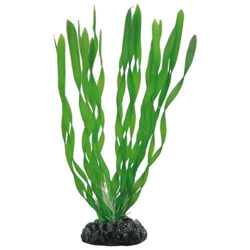 Osaka aquarium kunst plant Vallisneria 20cm art. 507, Dieren en Toebehoren, Vissen | Aquaria en Toebehoren, Plant(en), Steen of Hout