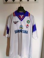 Fiorentina - Italiaanse voetbal competitie - Andrej, Nieuw