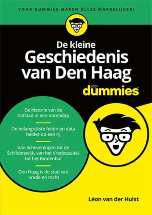 Voor Dummies  -   De kleine Geschiedenis van Den Haag voor, Boeken, Geschiedenis | Stad en Regio, Zo goed als nieuw, Verzenden