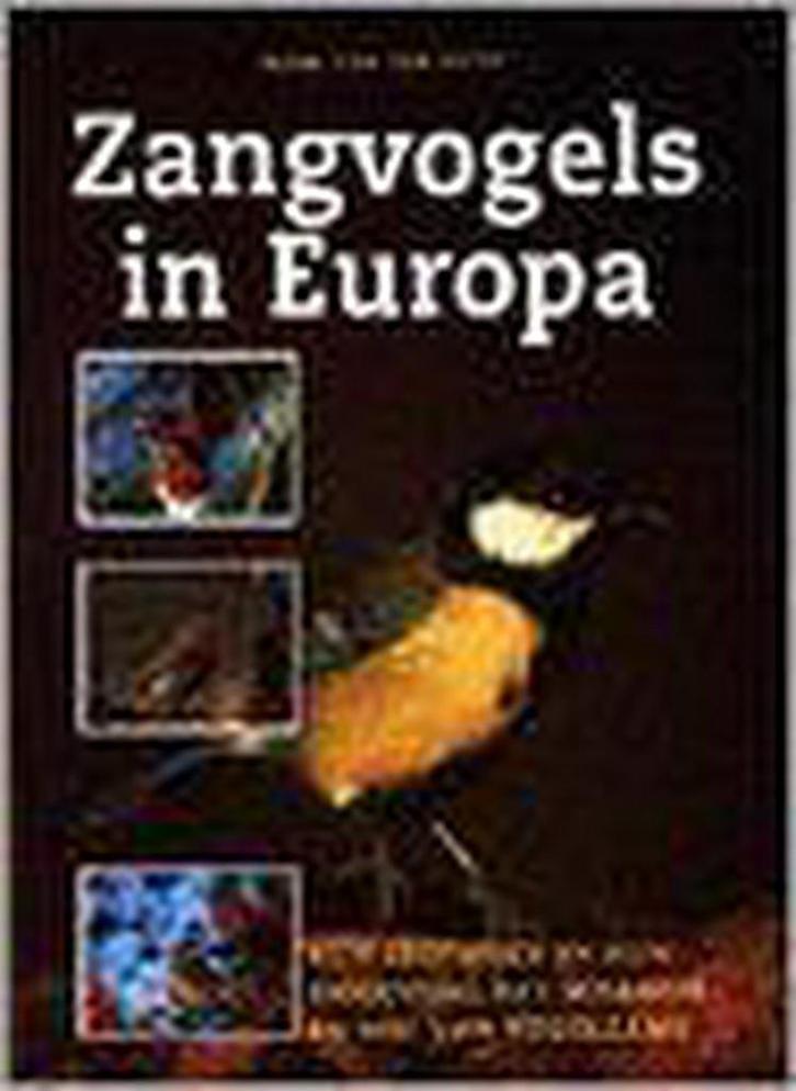 ZANGVOGELS IN EUROPA 9789062488551 Hedwig van den Brink, Livres, Loisirs & Temps libre, Envoi