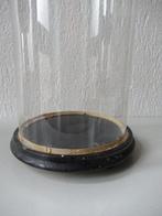 Stolp - Glas en hout - 1900-1910 - Grote stolp, Antiek en Kunst