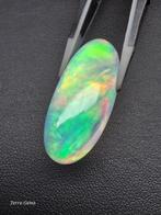 Meerkleurig, Groen, Blauw, Roze, Geel Opaal - 22.98 ct -