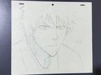 Studio Pierrot - dessin animé original de Ichigo Kurosaki -, Nieuw in verpakking