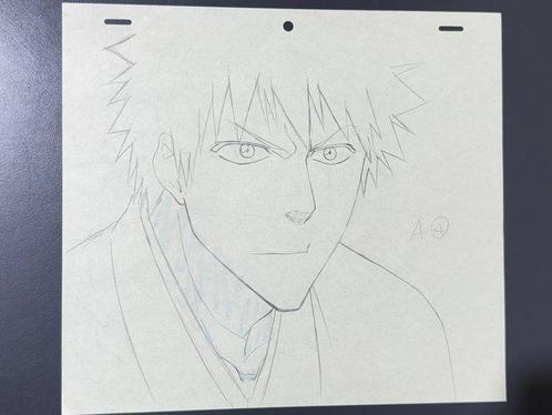 Studio Pierrot - dessin animé original de Ichigo Kurosaki -, Cd's en Dvd's, Dvd's | Tekenfilms en Animatie