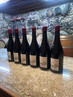 2021 Bodegas Peique, Tesín de la Campana Mencía - Bierzo, Nieuw
