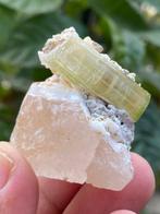 Tourmaline) Exemplaar- 40 g