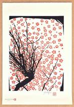 Four Seasons in Japan - Cherry Blossom  - Limited Edition