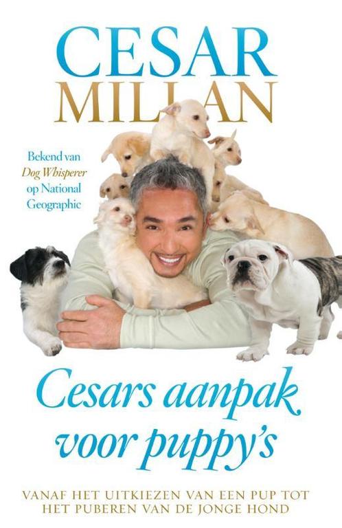 Cesars aanpak voor puppys 9789048820924 Melissa Jo Peltier, Boeken, Hobby en Vrije tijd, Gelezen, Verzenden