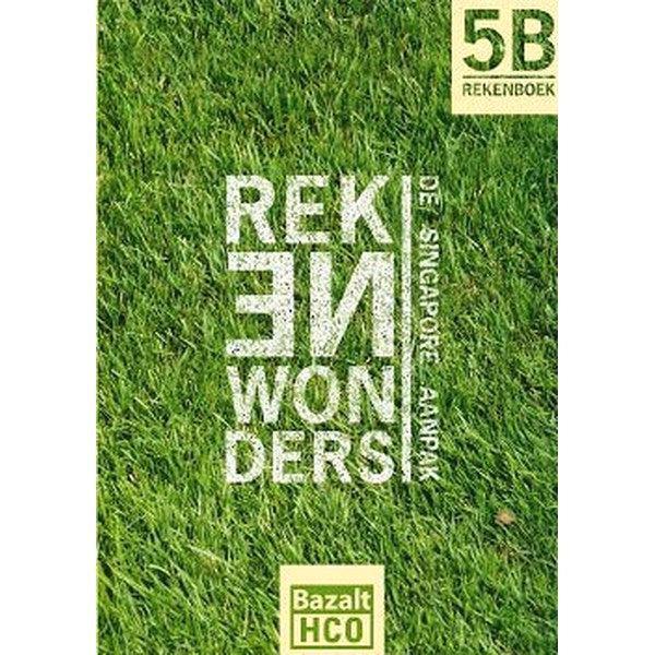 Rekenwonders Rekenboek 5B, Boeken, Schoolboeken, Verzenden