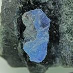ZELDZAAM! jeremejevite Kristallen op matrix - 5.3×3.3×3.3 cm