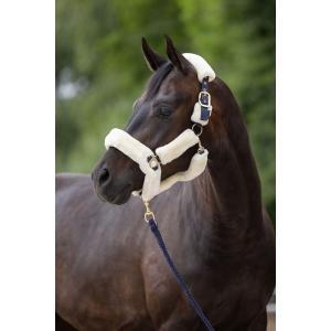 Licol supersoft full navy, Animaux & Accessoires, Chevaux & Poneys | Autres trucs de cheval