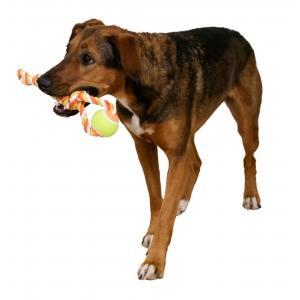 Balle avec corde, orange, 37 cm, cotton, Dieren en Toebehoren, Honden-accessoires
