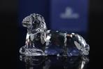 Figure - Swarovski - Schaap (Boxed + Certificate) - Cristal, Antiek en Kunst