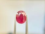 Zonder minimumprijs - 1 pcs Rood Robijn - 7.95 ct - Gem, Handtassen en Accessoires, Edelstenen, Nieuw