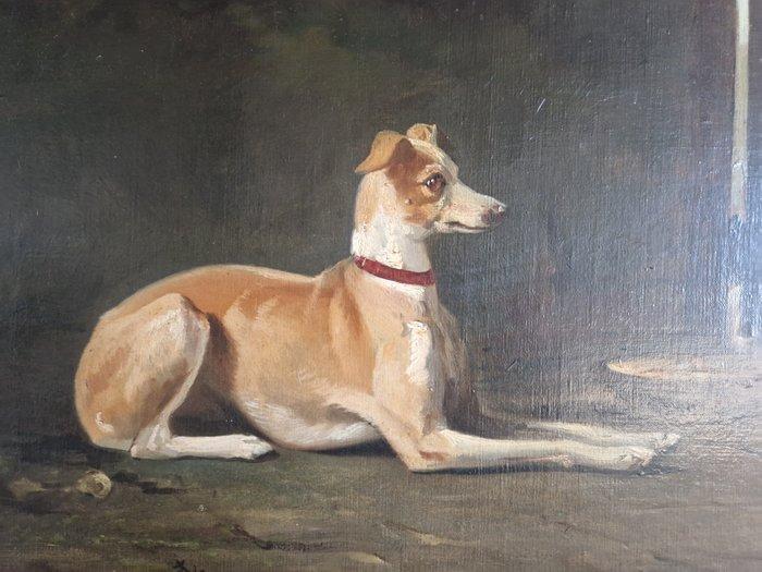 B. te Gempt (1826-1879) - Hazewindhond in rust, Antiek en Kunst, Kunst | Schilderijen | Klassiek