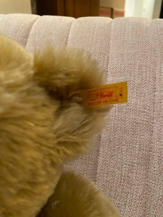 Steiff - Teddybeer Classic Teddybär - 1990-2000 - Duitsland, Antiek en Kunst, Antiek | Speelgoed