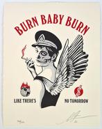 Shepard Fairey (OBEY) (1970) - Burn Baby Burn