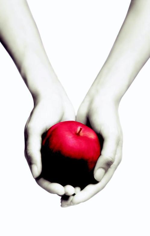 Twilight / Twilight / 1 9789022559888 Stephenie Meyer, Boeken, Kinderboeken | Jeugd | 13 jaar en ouder, Gelezen, Verzenden