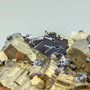 Gouden Pirietesthetiek met Galena in interlocking Kristallen