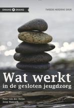 Wat werkt in de gesloten jeugdzorg 9789088503771, Boeken, Studieboeken en Cursussen, Verzenden, Gelezen