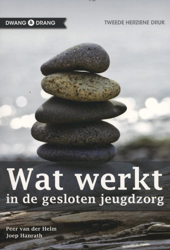Wat werkt in de gesloten jeugdzorg 9789088503771, Boeken, Studieboeken en Cursussen, Gelezen, Verzenden