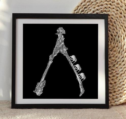 Fishman - Wishful Thinking Limited Edition Black & White, Antiek en Kunst, Kunst | Schilderijen | Modern