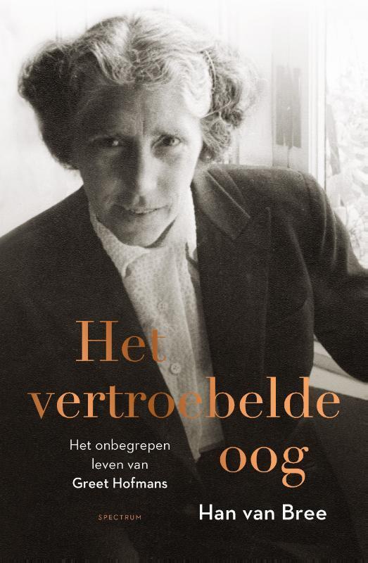 Het vertroebelde oog 9789000354511 Han van Bree, Boeken, Overige Boeken, Zo goed als nieuw, Verzenden