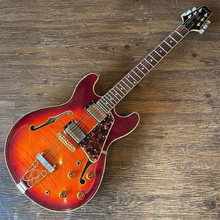 Aria - Aria Pro II TA-II N460 - - Elektrische gitaar -, Muziek en Instrumenten, Snaarinstrumenten | Gitaren | Akoestisch