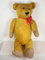 Petz - Teddybeer - 1930-1940 - Duitsland, Antiek en Kunst