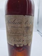 1893 Chateau dArche - Sauternes - 1 Fles (0,75 liter), Verzamelen, Wijnen, Nieuw