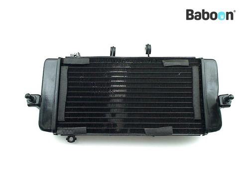 Radiateur Suzuki GW 250 Inazuma, Motoren, Onderdelen | Suzuki, Gebruikt, Verzenden