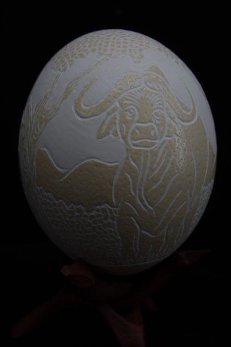 carved Ostrich Egg decorated with buffalo Taxidermie, Antiek en Kunst, Curiosa en Brocante