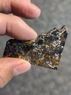 Admire meteoriet pallasite - Hoogte: 53.8 mm - Breedte: 44.2, Verzamelen, Mineralen en Fossielen