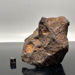 AGOUDAL MUSEUM IJzer meteoriet - 1.13 kg
