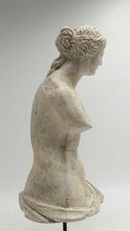 sculptuur, Busto dellafrodite di Milo - 51 cm - marmerstof
