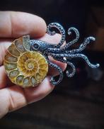 Geen reserveprijs Prachtige ammoniet, handgemaakte, Verzamelen