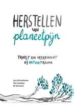 Herstellen van planeetpijn 9789493301917 Ybe Casteleyn, Verzenden, Zo goed als nieuw, Ybe Casteleyn