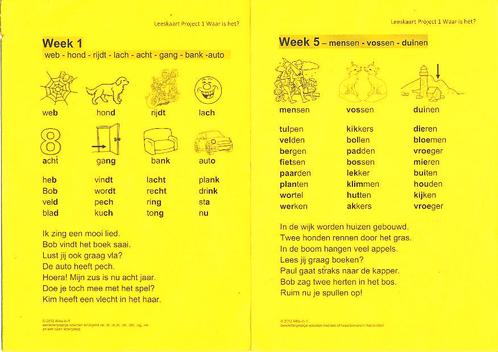 Alles-in-1 Leeskaarten Project 1 Waar is het?, Livres, Livres scolaires, Envoi