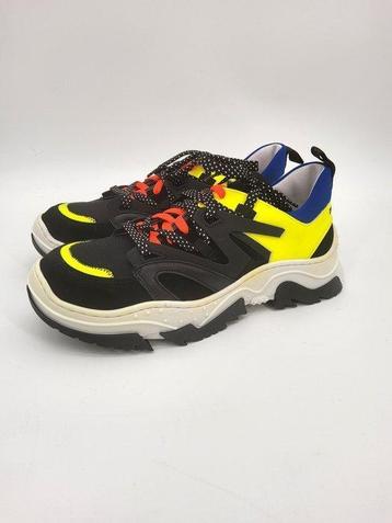 Dsquared2 - Baskets basses - Taille : EU 40 beschikbaar voor biedingen