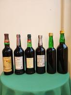 Curatolo, Carli, Florio, Danieli, Sigma - Marsala - Marsala