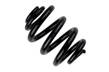 Bilstein B3 Replacement Springs Chassisveer | Volkswagen |, Verzenden