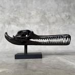 Sculpture, Brown Gharial Crocodile Skull, on custom stand -, Antiek en Kunst