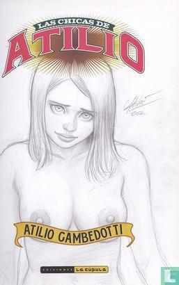 Las Chicas de Atilio - 2015, Boeken, Stripverhalen, Zo goed als nieuw, Eén stripboek, Verzenden