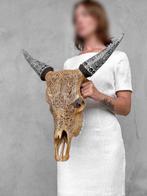 Geen minimumprijs - Prachtige bruine koeienschedel met