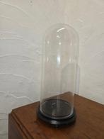 Globe - stolp - antiek - 1921-1950 - Grande antique serre, Antiek en Kunst