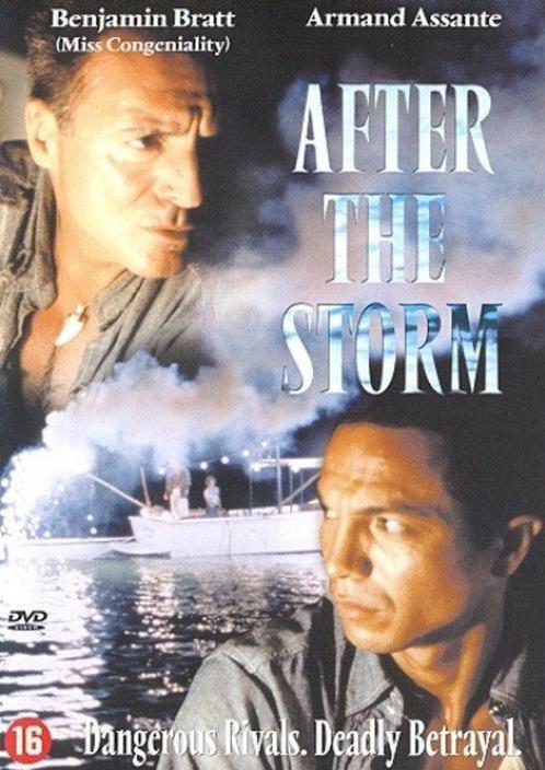 After the storm (dvd nieuw), CD & DVD, DVD | Action, Enlèvement ou Envoi