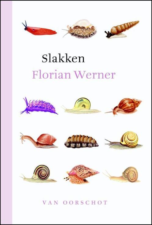 Slakken 9789028280366 Florian Werner, Boeken, Hobby en Vrije tijd, Zo goed als nieuw, Verzenden