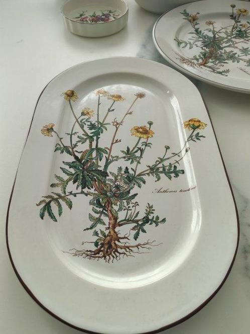 Villeroy & Boch - Service de table (22) - Botanica -, Antiek en Kunst, Antiek | Meubels | Tafels