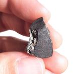 Tsjeljabinsk-meteoriet, beroemde waargenomen val - 3.8 g, Verzamelen