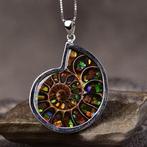 Sans réserve - Certifié ALGT - Pendentif en ammolite, Verzamelen
